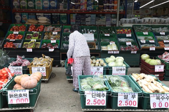 추석을 앞두고 물가가 치솟는 가운데 29일 오전 대구 동구 평화시장에서 한 시민이 연일 고공행진을 이어가는 채솟값 앞에 선뜻 지갑을 열지 못한 채 망설이고 있다. 2022.8.29/뉴스1 ⓒ News1 공정식 기자