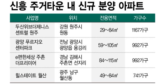 신흥 주거타운 내 신규 분양 아파트 /그래픽=정기현 기자