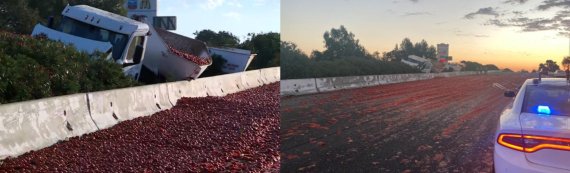 토마토 15만개 쏟아져 난장판.. 붉게 물든 고속도로