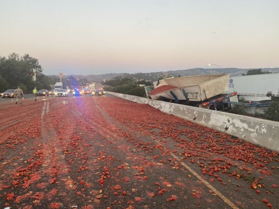 토마토 15만개 쏟아져 난장판.. 붉게 물든 고속도로