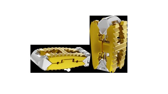 척추임플란트 '패스락-TM' 모습(사진제공=엘엔앤케이바이오메드)