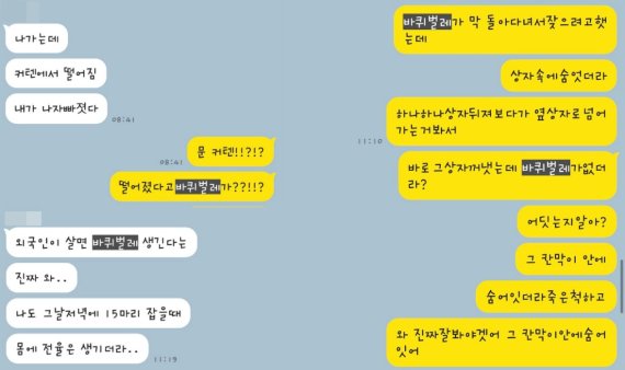 (온라인 커뮤니티 갈무리)