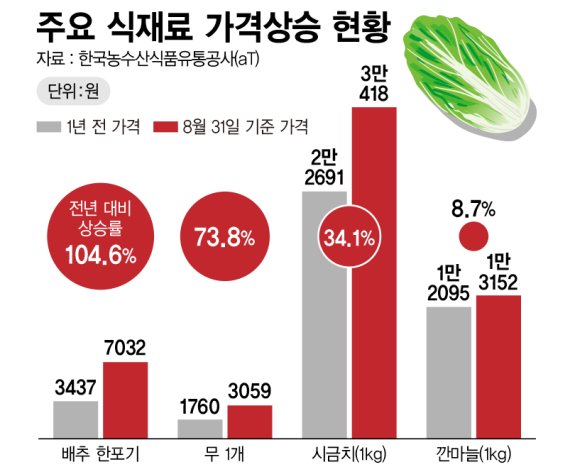 주요 식재료 가격상승 현황 /그래픽=정기현 기자