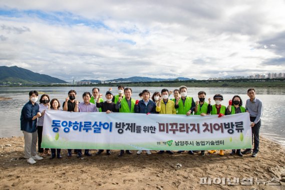 남양주시 미꾸라지 27만방류…동양하루살이 방제