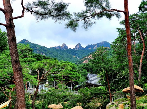 원도봉계곡으로 올라가는 도로 옆 카페의 정원에서 바라본 도봉산 풍경. 가운데 선인봉-만장봉과 자운봉