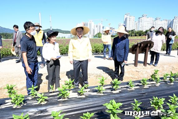 강수현 양주시장 ‘천만송이 천일홍 축제’ 현장점검