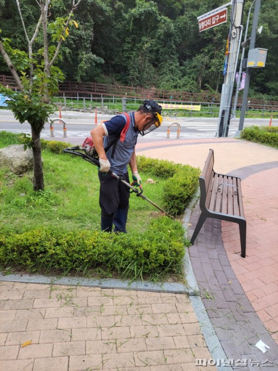 파주 감악산 예초작업. 사진제공=파주도시관광공사