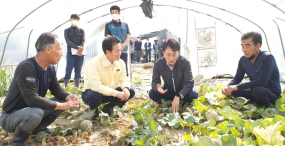 농협금융 손병환 회장(오른쪽 두번째)이 지난 6일 태풍 피해 농가를 위문 방문해 태풍 '힌남노'로 인한 경남지역 피해상황을 점검하고 있다. NH농협금융 제공