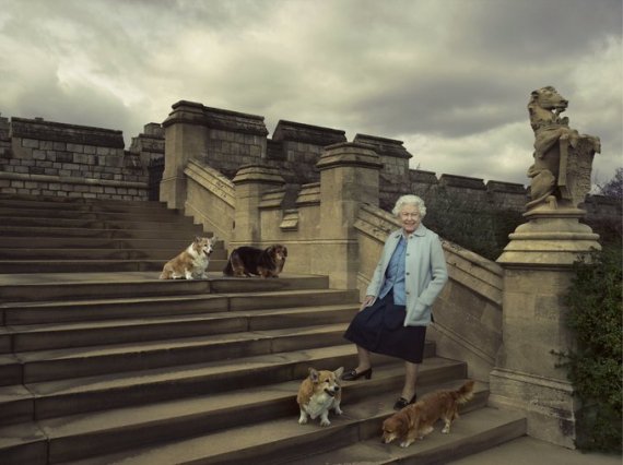 2016년 윈저성에서 여왕이 반려견들과 찍은 사진. 엘리자베스 2세 여왕은 개를 사랑했으며, 특히 어렸을 때부터 늘 함께한 웰시코기를 특별히 여긴 것으로 알려졌다.<div id='ad_body2' class='ad_center'></div> 뉴스1