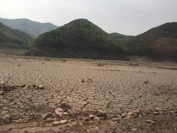 지구온난화로 인한 기상이변이 속출하면서 일부지역은 극심한 가뭄으로 몸살을 앓고 있다. fnDB