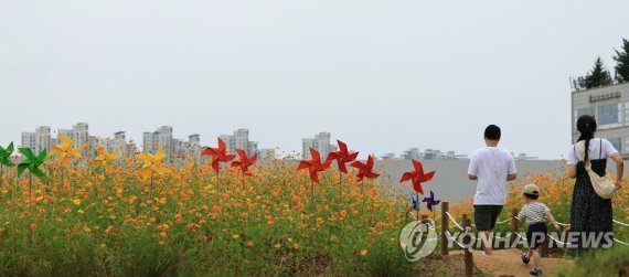 연휴 마지막 날 가족 나들이 연휴 마지막 날 가족 나들이 (파주=연합뉴스) 홍해인 기자 = 추석 연휴 마지막 날인 12일 경기도 파주시 운정신도시의 황화코스모스 밭을 찾은 가족이 꽃길을 걸으며 가을 정취를 즐기고 있다. 2022.9.12 hihong@yna.co.kr (끝)