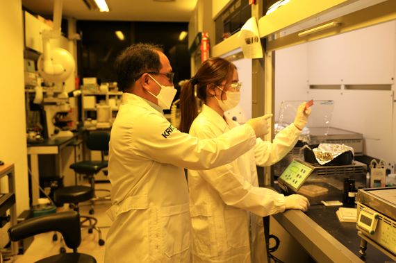 화학연구원 연구진이 광에 민감한 물질을 다루는 실험실인 옐로우룸에서 개발한 홀로그램 기록 조성물로 필름을 제작하고 있다. 화학연구원 제공