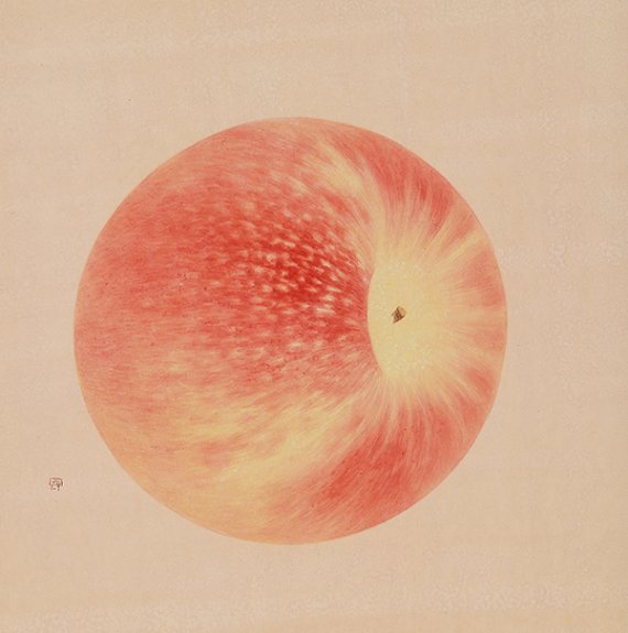 [서울=뉴시스]김진관, 빛을 품은 사과, 48X48cm, 장지.광목에 채색, 2022