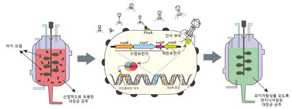 '바이오화학공장 핵심' 미생물을 균주로 보호한다