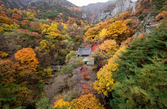 가을 단풍이 예쁜 금오산도립공원. 사진=구미시 제공