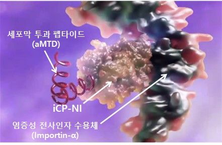 셀리버리 "글로벌 동물의약품 1위 제약사와 TSDT 플랫폼기술 등 L/O 협의중"