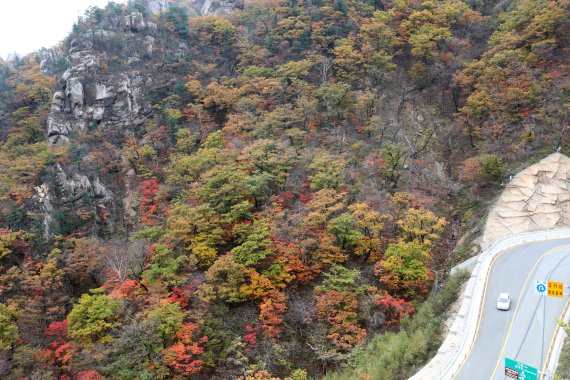 양양군 단풍철 오색지구 교통관리 비상체제 가동