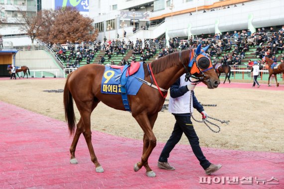 [경마] ‘혈통 금수저’ 1400m 경주, 우승후보는?