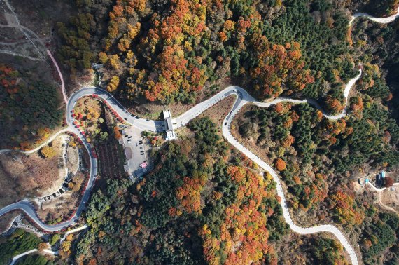 '단풍철' 내달부터 국립공원 탐방로 예약제 운영…지리산·내장산 등