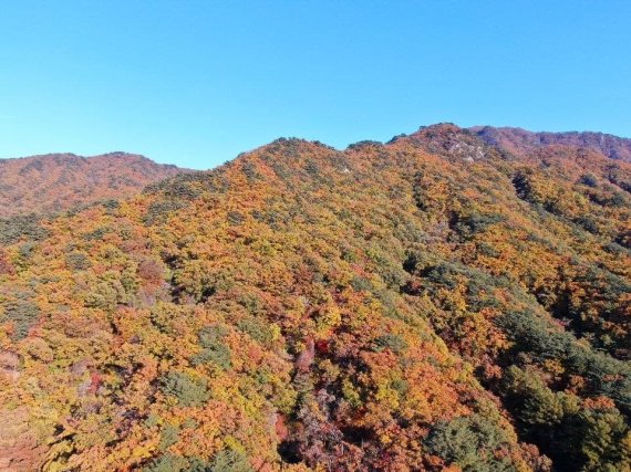 단풍철 앞두고 국립공원 탐방로 예약제 본격 운영