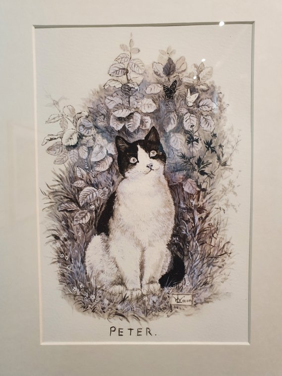 루이스 웨인이 그린 '피터' / 사진출처=조성관 작가