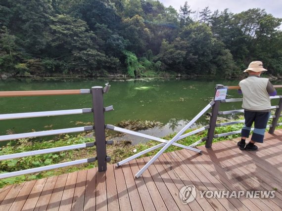 주차 연습하다 추락 주차 연습하다 추락 (대전=연합뉴스) 22일 오후 1시 45분께 대전 중구 안영동 뿌리 공원 주차장에서 주차 연습을 하던 40대 운전자가 운전미숙으로 인근 유등천에 빠지는 사고가 났다. 사진은 물속에 빠진 차량·2022.9.22 [대전소방본부 제공. 재판매 및 DB 금지] coolee@yna.co.kr (끝)