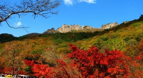 정읍 내장산 2.8㎞ 구간 '탐방로 예약제' 시행