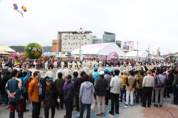 38회 금산인삼축제를 찾은 관람객들이 공연을 관람하고 있다. (자료사진)