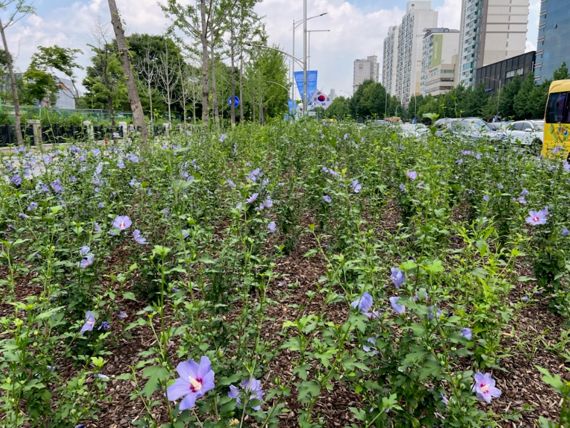 산림청, 내년 무궁화동산 사업 대상지 18곳 선정