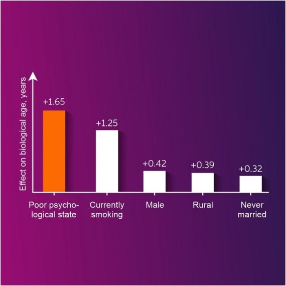심리적 불안정이 흡연보다 더 노화를 촉진하는 변수라는 점을 보여주는 그래프 [Deep Longevity/ Fedor Galkin 제공/ 재판매 및 DB 금지] photo@yna.co.kr