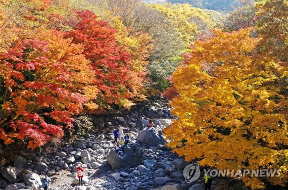 "산악안전사고 단풍철에 집중" 제주소방 주의보 발령