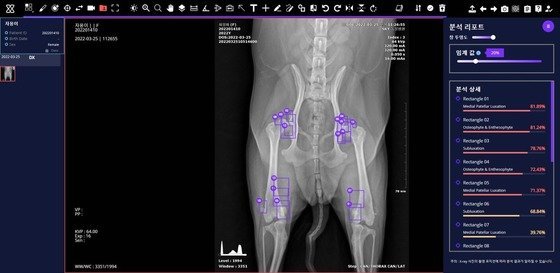 SK텔레콤 엑스칼리버를 통해 분석한 반려견 근골격 엑스레이 사진