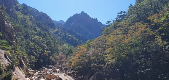 본격 단풍철이 시작된 가운데 지난 29일 강원지역 단풍 명소인 설악산 비선대 인근에 울긋불긋 단풍이 물들고 있다.(설악산국립공원 사무소) 2022.9.30/뉴스1 ⓒ News1 윤왕근 기자