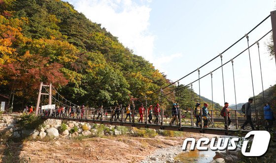 “물드는 단풍 즐기자” 강원 유명산‧관광지 북적…설악산만 1만7000명