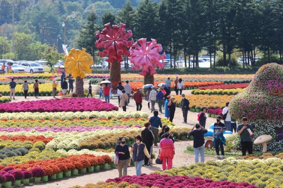 인제가을꽃축제 찾은 나들이객들.(인제군 제공)/뉴스1