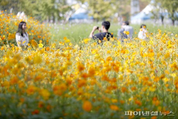 2022 고양가을꽃축제 현장. 사진제공=고양국제꽃박람회