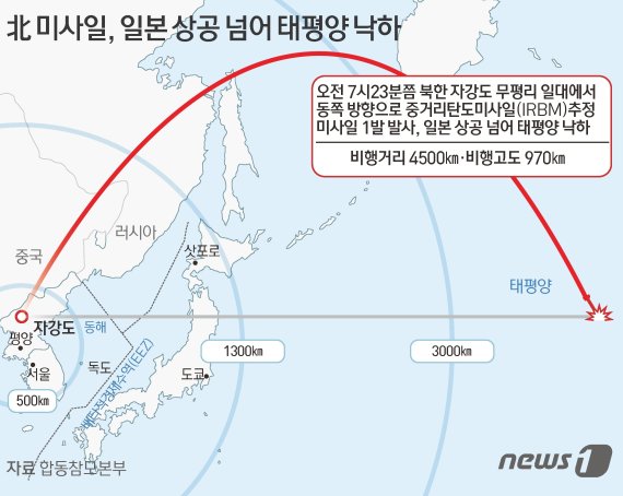 ⓒ News1 김초희 디자이너