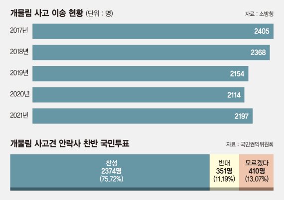 연이은 개물림 사고…시민들 "안락사" 전문가 "제한적 허용" [입장 들어봤습니다]