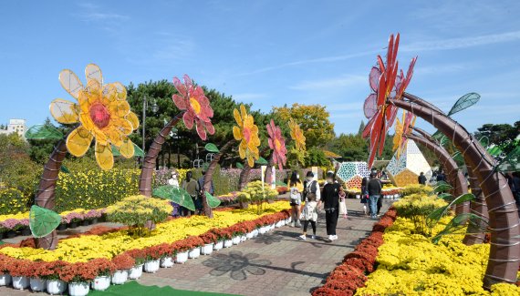 전북 익산 천만송이국화축제 자료사진. /사진=뉴시스