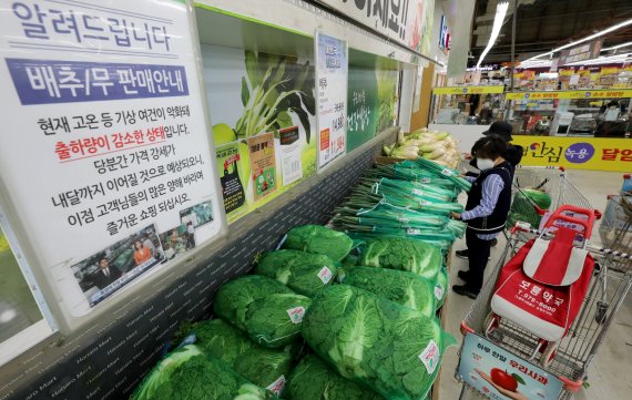 5일 서울 도봉구 하나로마트 창동점을 찾은 시민들이 농산물을 구매하고 있다. 통계청은 이날 9월 소비자물가가 전년동월 대비 5.6% 올랐다고 발표했다. 뉴시스