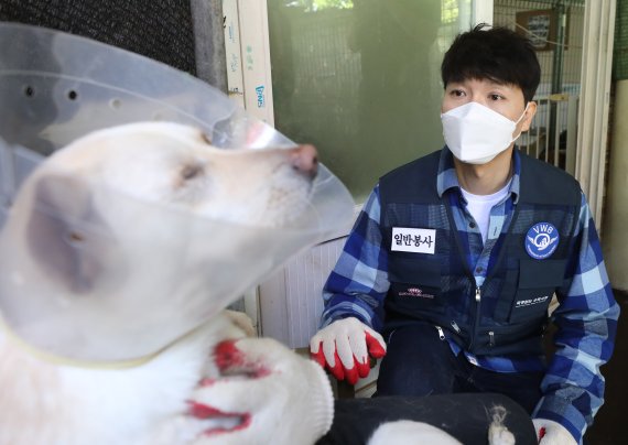 박수홍/뉴스1 ⓒ News1 DB