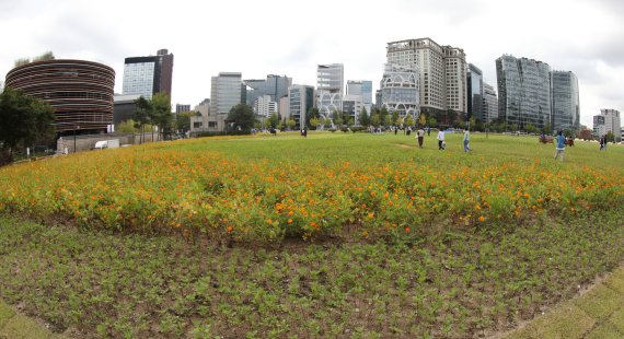 6일 서울 종로구 경복궁 인근 송현동 부지에서 시민들이 산책을 즐기고 있다. 2022.10.6/뉴스1 ⓒ News1 송원영 기자