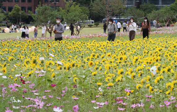 6일 서울 종로구 경복궁 인근 송현동 부지에서 시민들이 산책을 즐기고 있다. 2022.10.6/뉴스1 ⓒ News1 송원영 기자