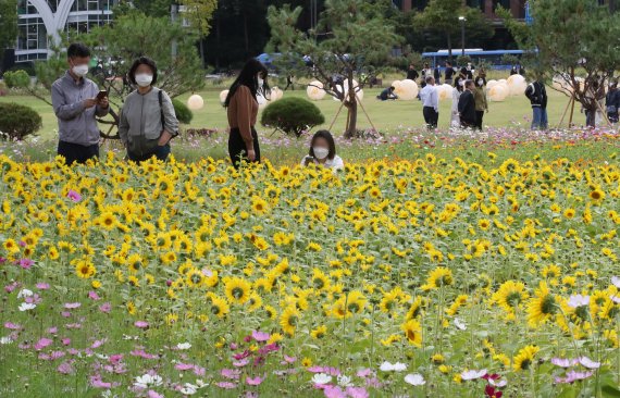 6일 서울 종로구 경복궁 인근 송현동 부지에서 시민들이 산책을 즐기고 있다. 2022.10.6/뉴스1 ⓒ News1 송원영 기자