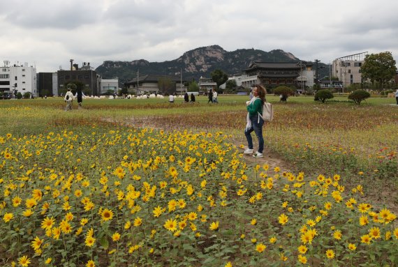 6일 서울 종로구 경복궁 인근 송현동 부지에서 시민들이 산책을 즐기고 있다. 2022.10.6/뉴스1 ⓒ News1 송원영 기자