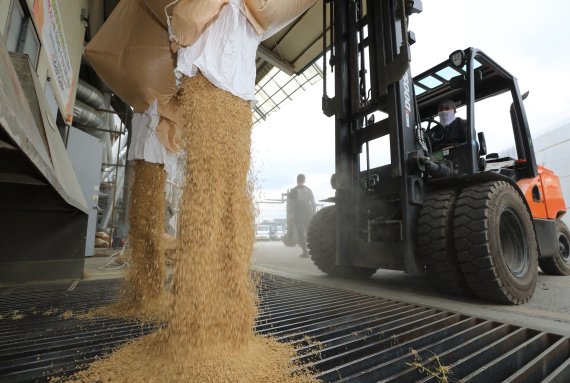 벼 재배면적 줄어...올해 쌀 생산량 380만4000t '2.0% 감소'