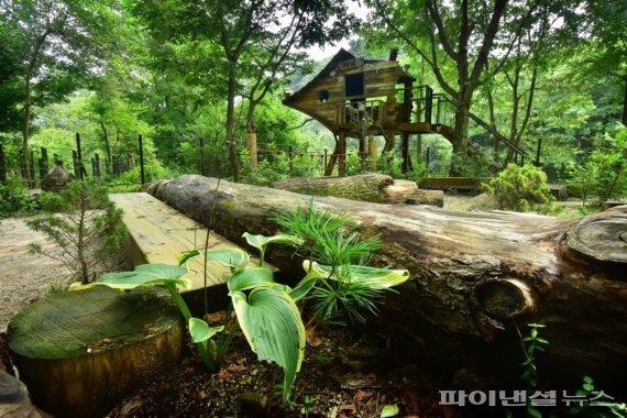 제1회 광릉숲 사진공모전 장려상- 임광엽 도깨비숲의신비로움. 사진제공=경기북부청