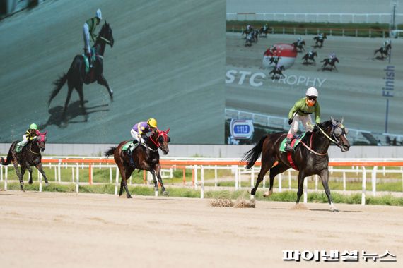 [경마] 골든파워 vs 라온더스퍼트…국산여왕 9일쟁투