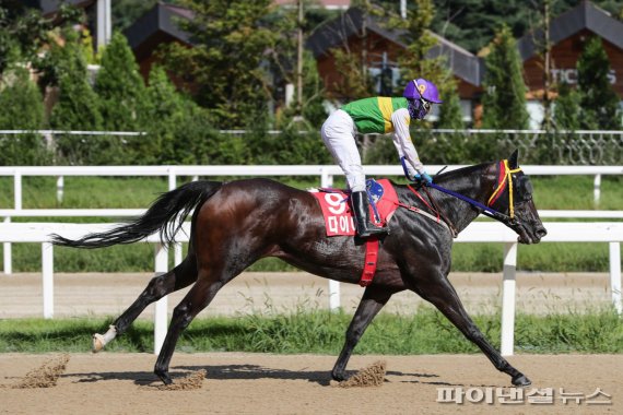 [경마] 골든파워 vs 라온더스퍼트…국산여왕 9일쟁투