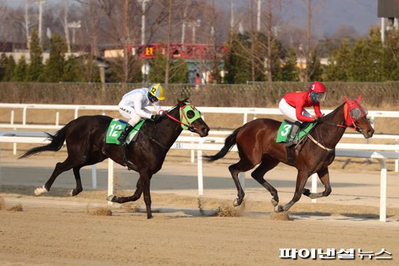 [경마] 골든파워 vs 라온더스퍼트…국산여왕 9일쟁투